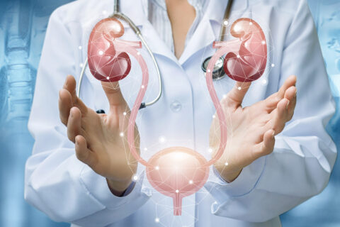 Urologia